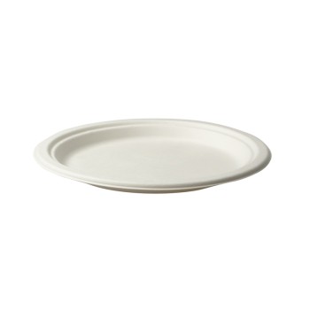 Bagasse Compostable Plate 10.25"