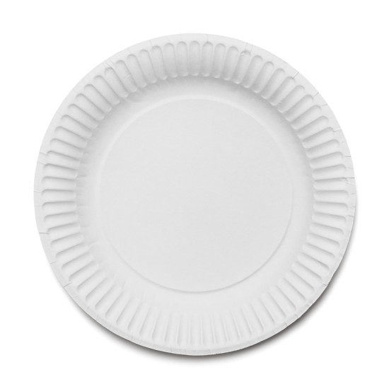 Disposable White Paper Plates